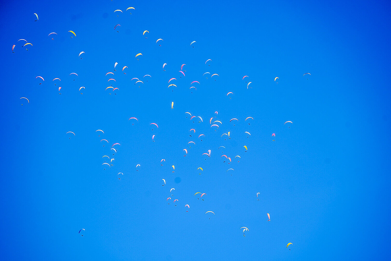 Viele Gleitschirme schweben als bunte Punkte am blauen Himmel.
