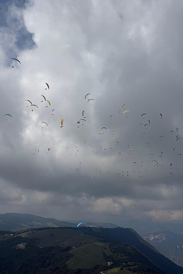 Viele Gleitschirme schweben unter dichten Wolken über einem bewaldeten Berggrat.