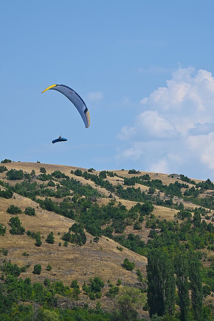 Zwei Tandem-Gleitschirme fliegen dicht über Bäumen im Landeanflug.