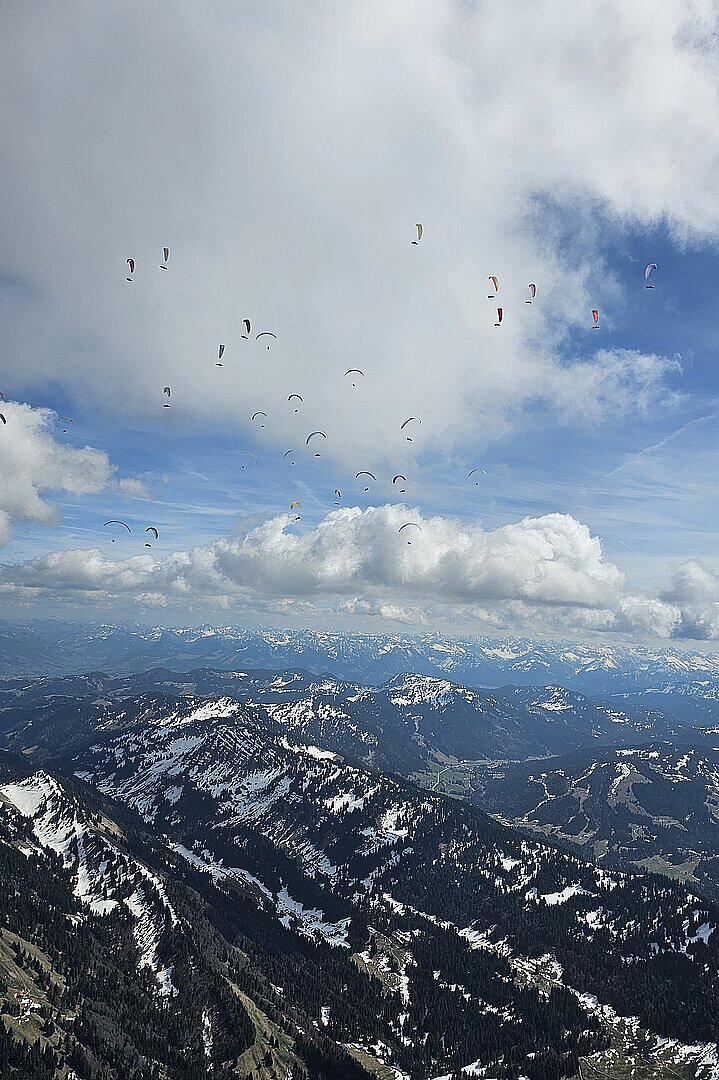 Staufen Cup Task 3