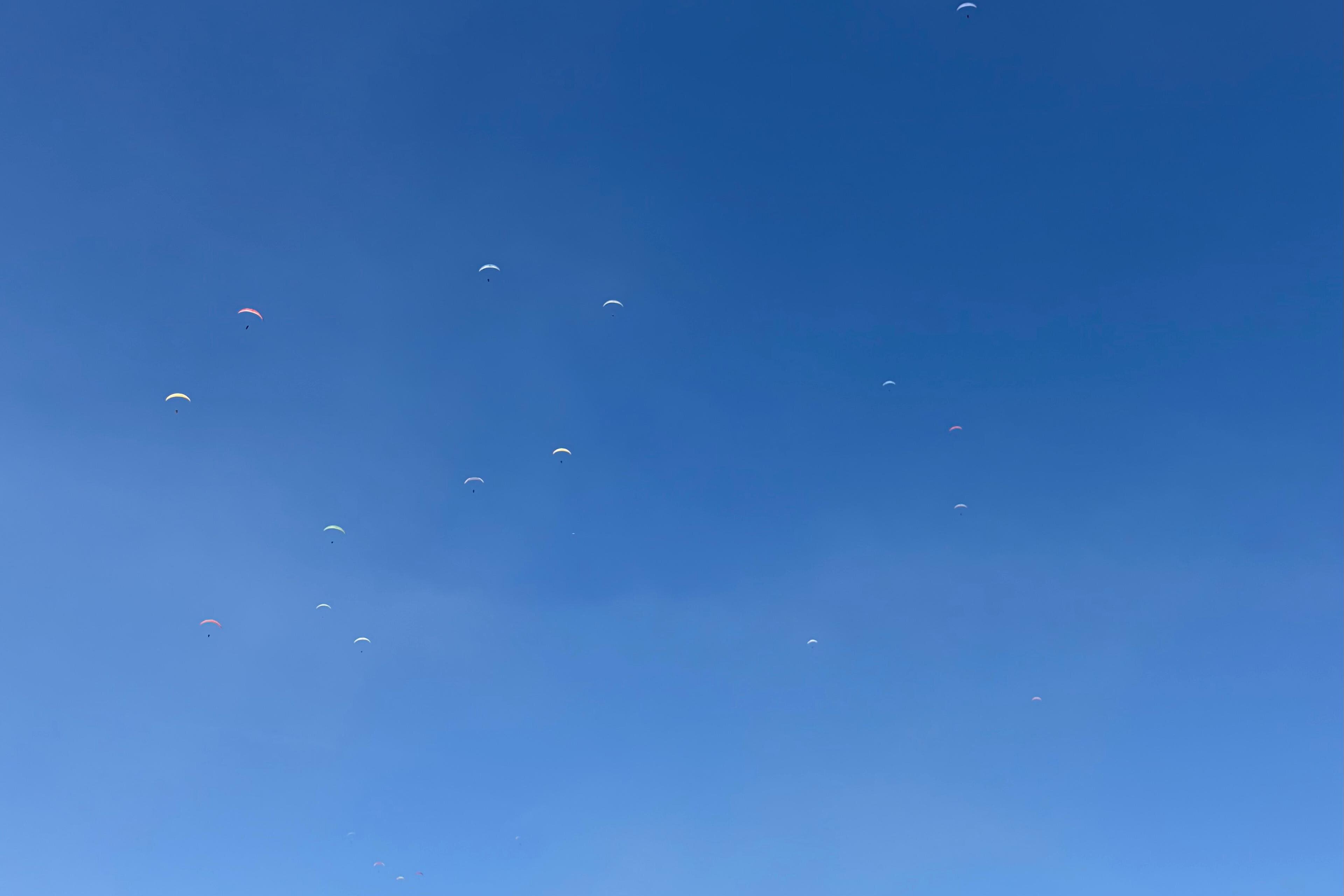 Mehrere Gleitschirme sind als kleine Punkte am blauen Himmel zu sehen.