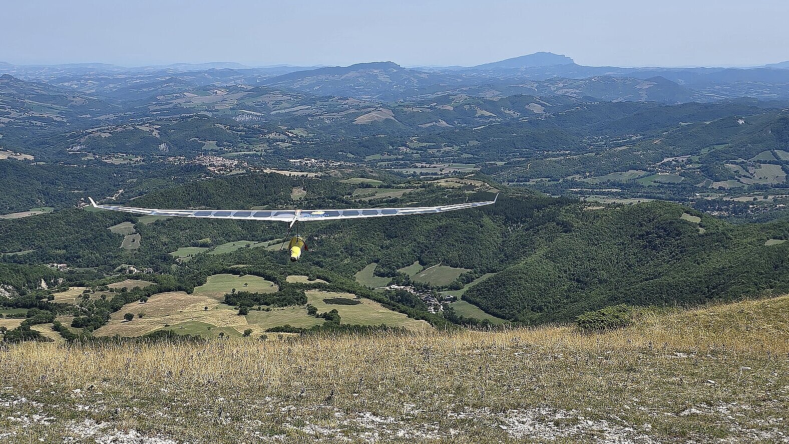 Starrflügler startet von einem Hügel in hügeliger Landschaft
