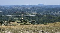 Starrflügler startet von einem Hügel in hügeliger Landschaft