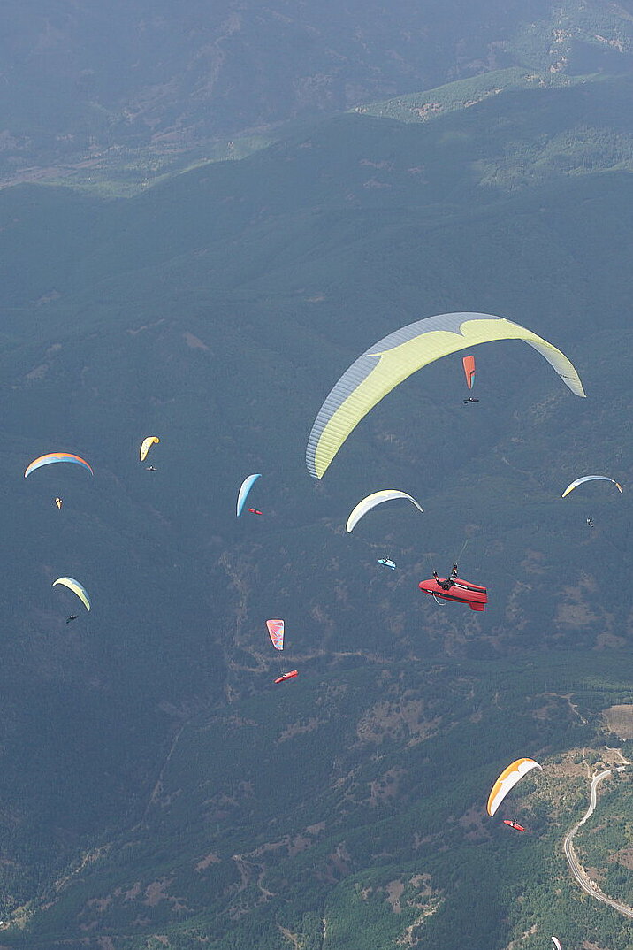 Mehrere Gleitschirme fliegen über grün bewaldete Berge.