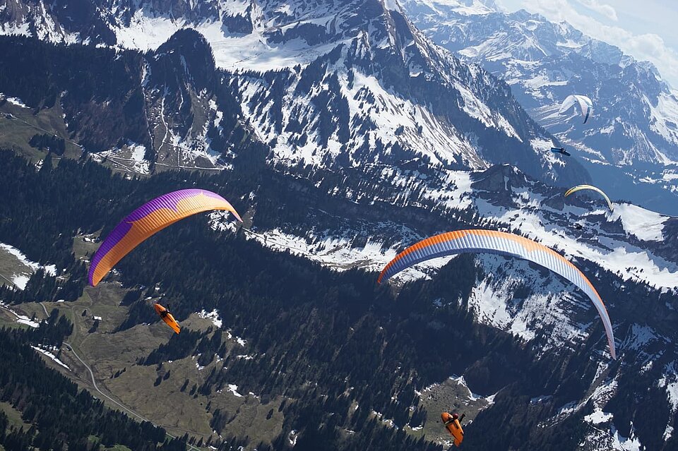 Staufen Cup Task 2