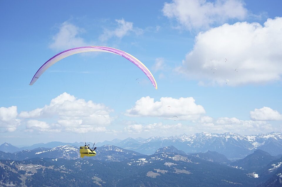 Staufen Cup Task 2