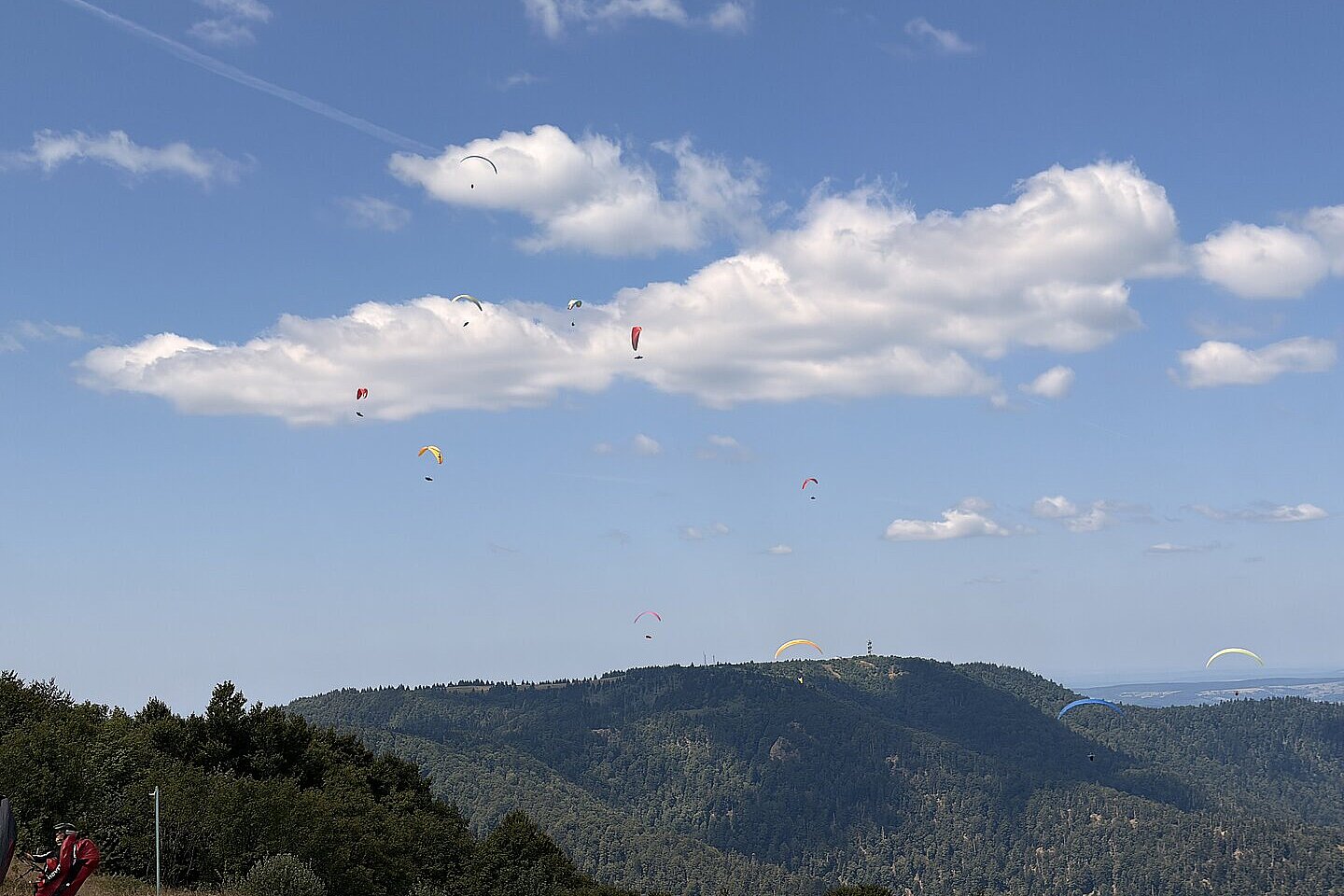 Mehrere Gleitschirme fliegen über bewaldete Berge unter blauem Himmel mit einzelnen Wolken.