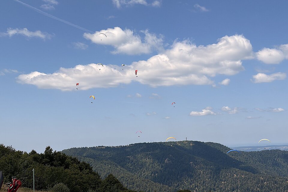 Mehrere Gleitschirme fliegen über bewaldete Berge unter blauem Himmel mit einzelnen Wolken.