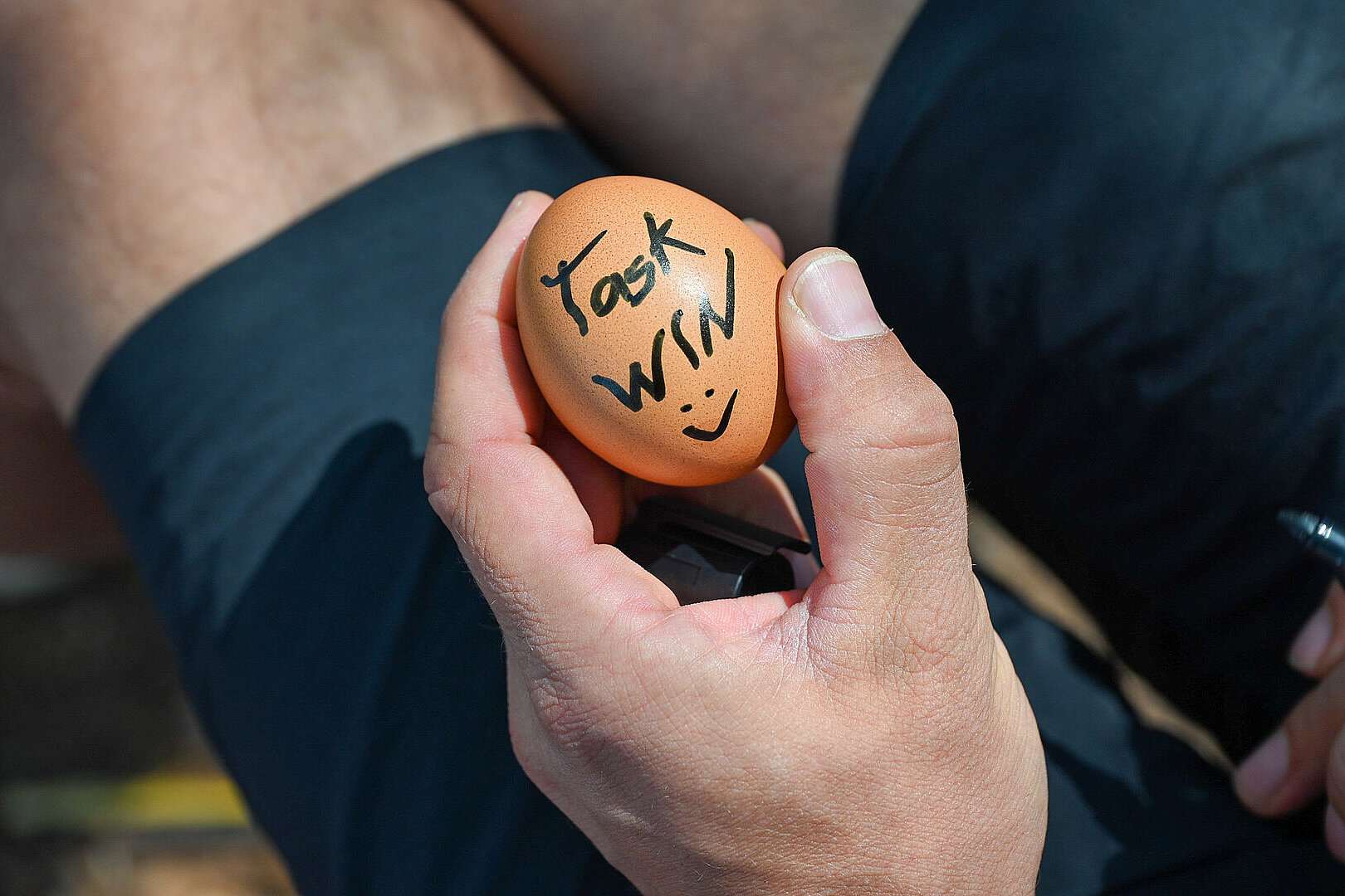Hand hält ein Ei mit der Aufschrift „Task WIN“.