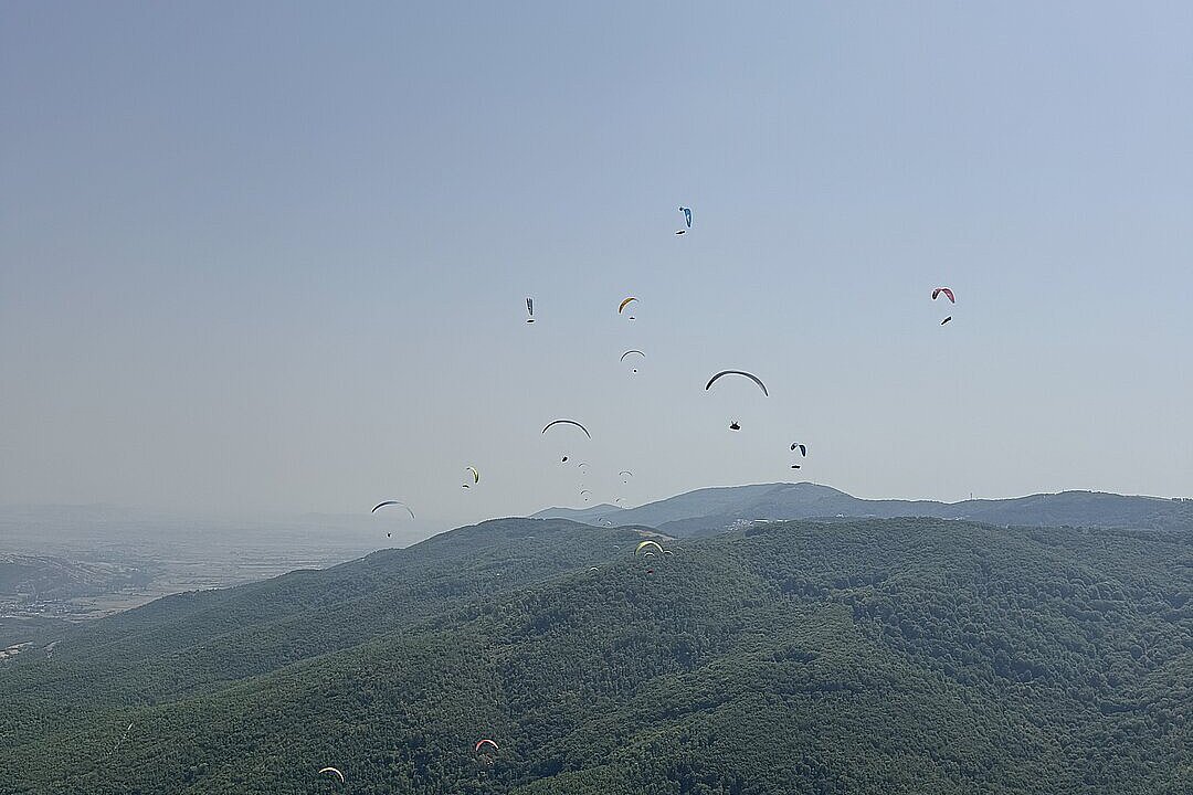 Mehrere Gleitschirme fliegen über bewaldeten Hügeln im weiten Himmel.