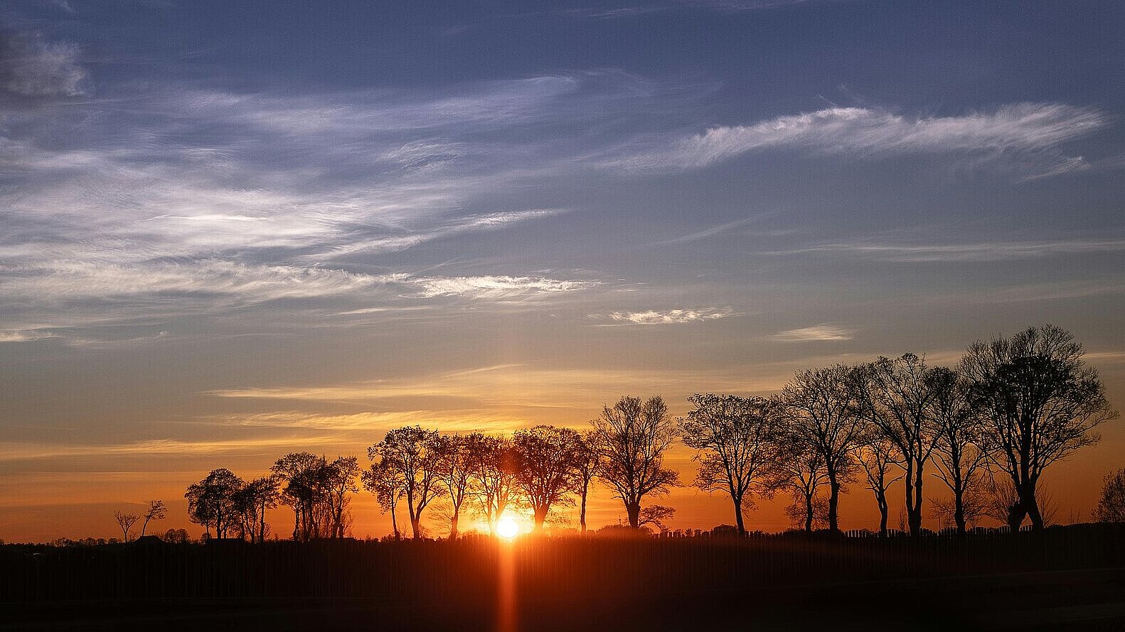 Wald im Sonnenuntergang