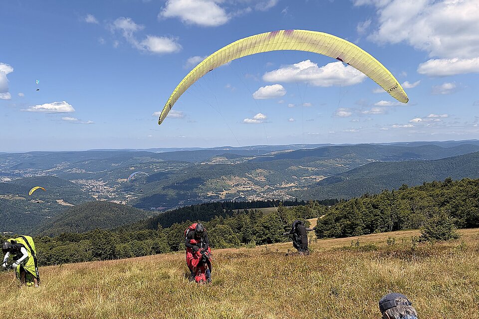 Mehrere Gleitschirme starten auf einer Wiese am Hang, im Hintergrund weite Berglandschaft.