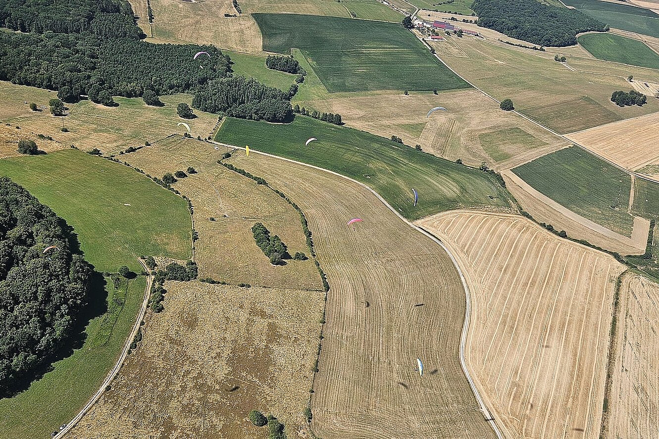 Mehrere Gleitschirme fliegen über ein Mosaik aus Feldern und Waldrändern.