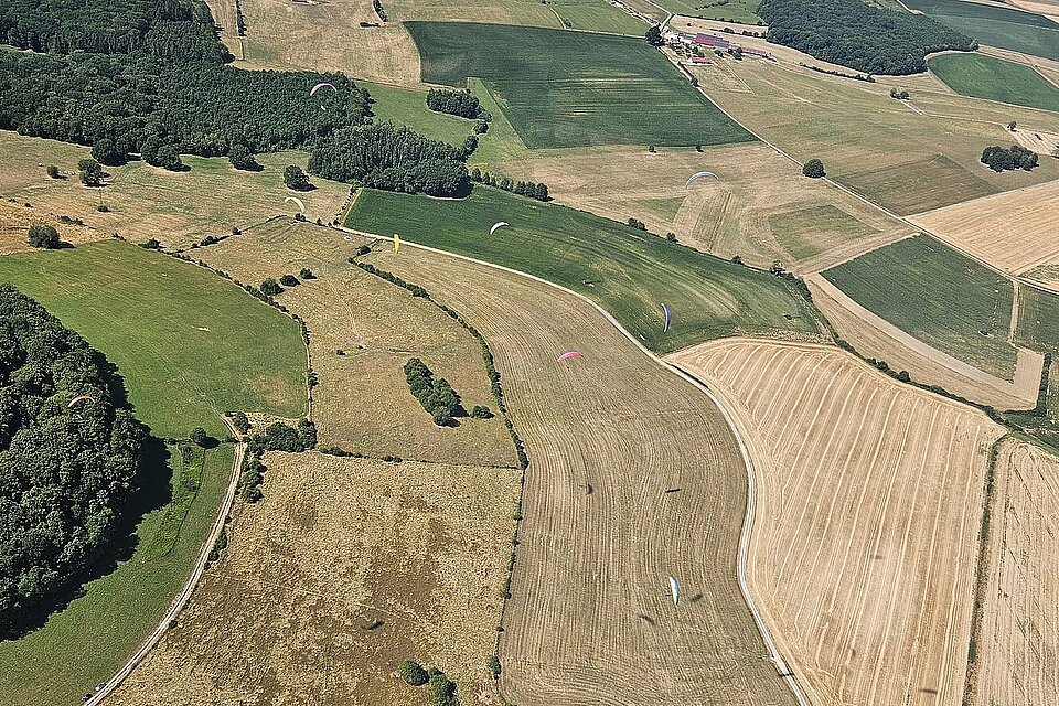 Mehrere Gleitschirme fliegen über ein Mosaik aus Feldern und Waldrändern.