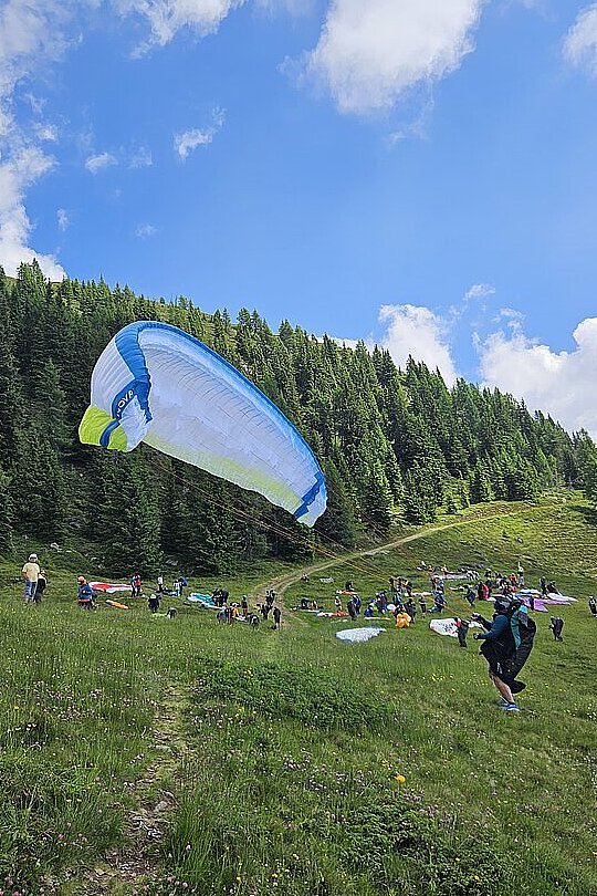 Mehrere Gleitschirmpiloten bereiten sich auf einer Bergwiese zum Start vor, ein Schirm fliegt tief.