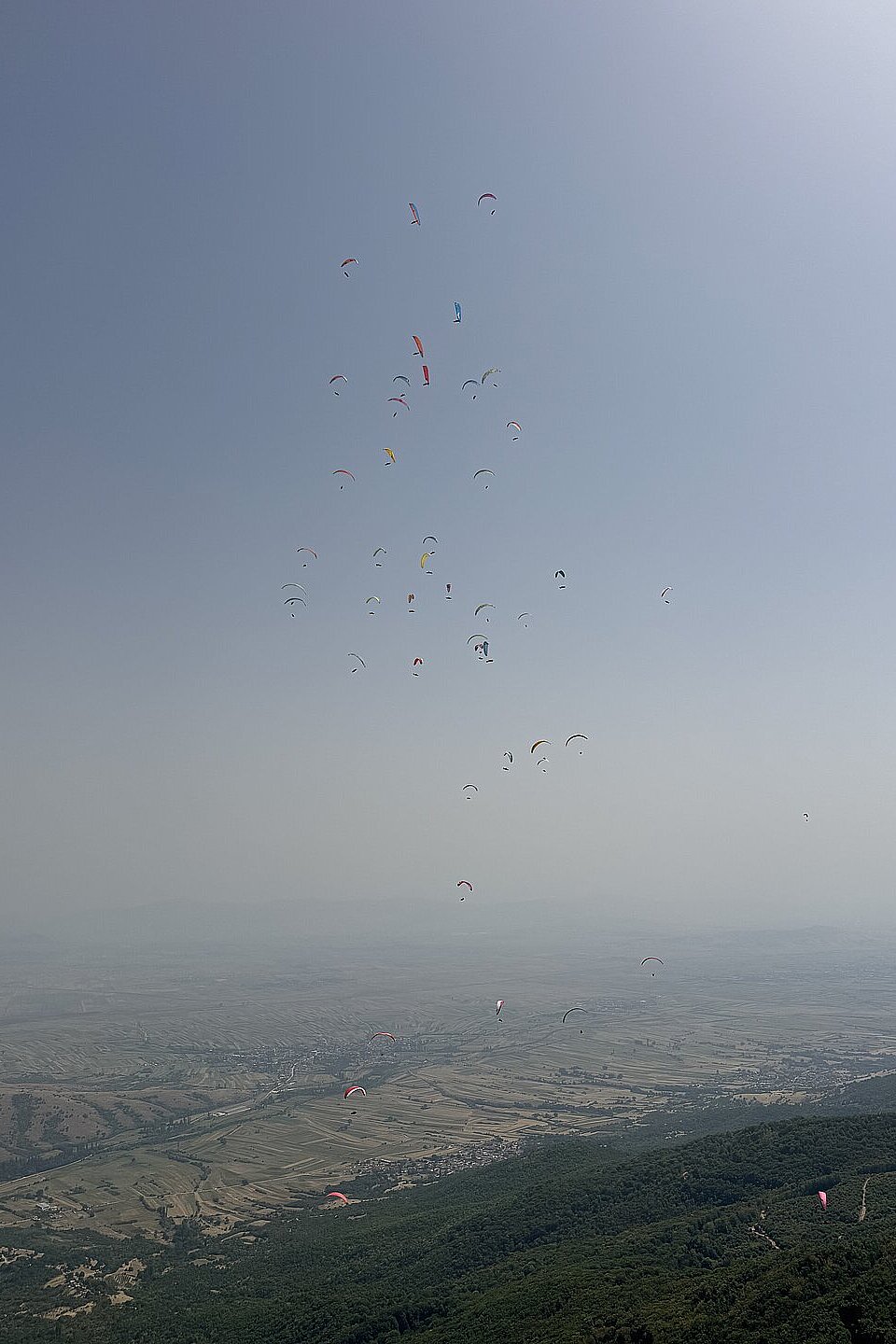 Viele Gleitschirme fliegen über einem Tal mit Wäldern und Feldern.