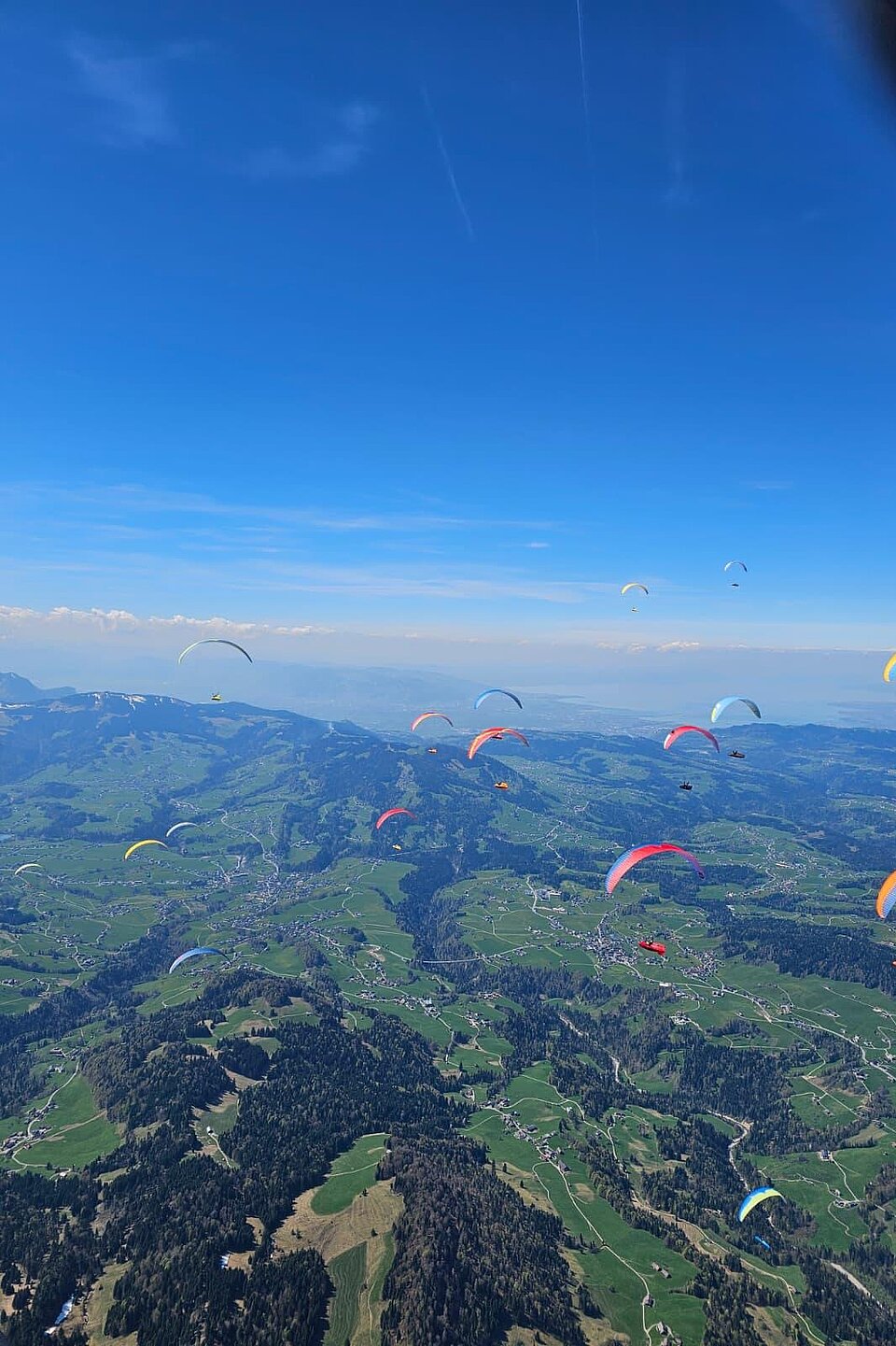 Staufen Cup Task 3