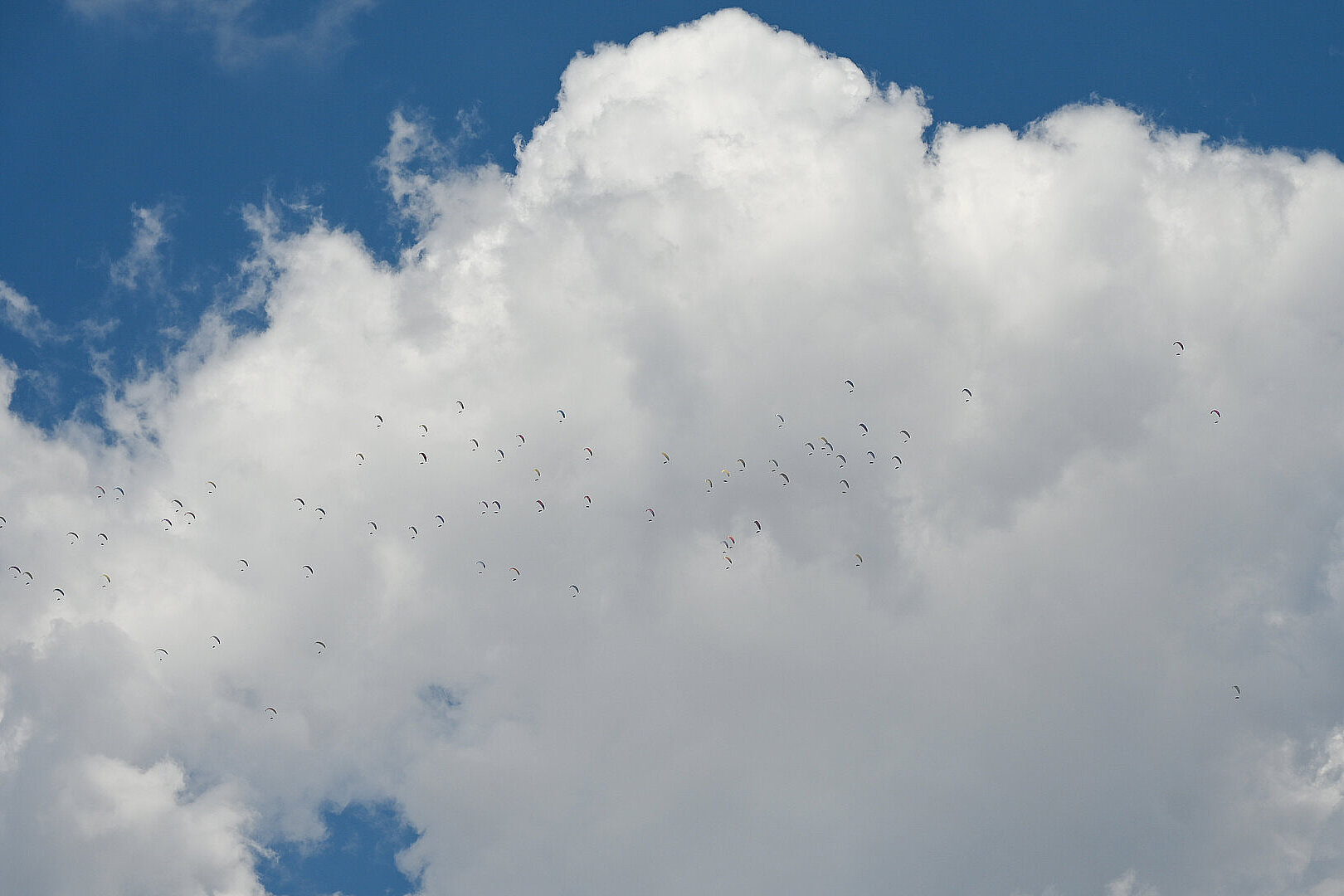 Viele Gleitschirme schweben vor großen weißen Wolken am blauen Himmel.