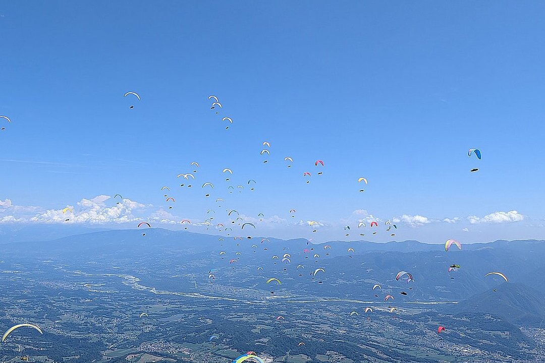 Zahlreiche Gleitschirme schweben über einem weiten Tal mit Bergen und Feldern.