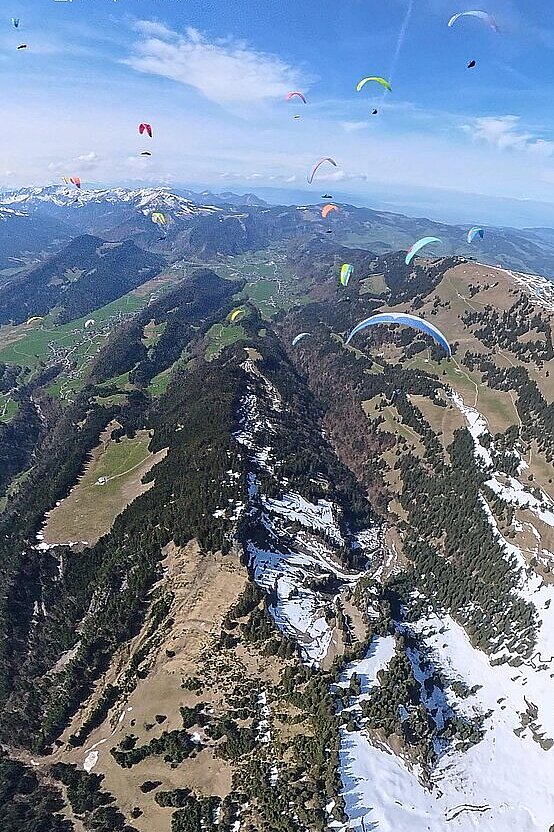 Staufen Cup Task 3