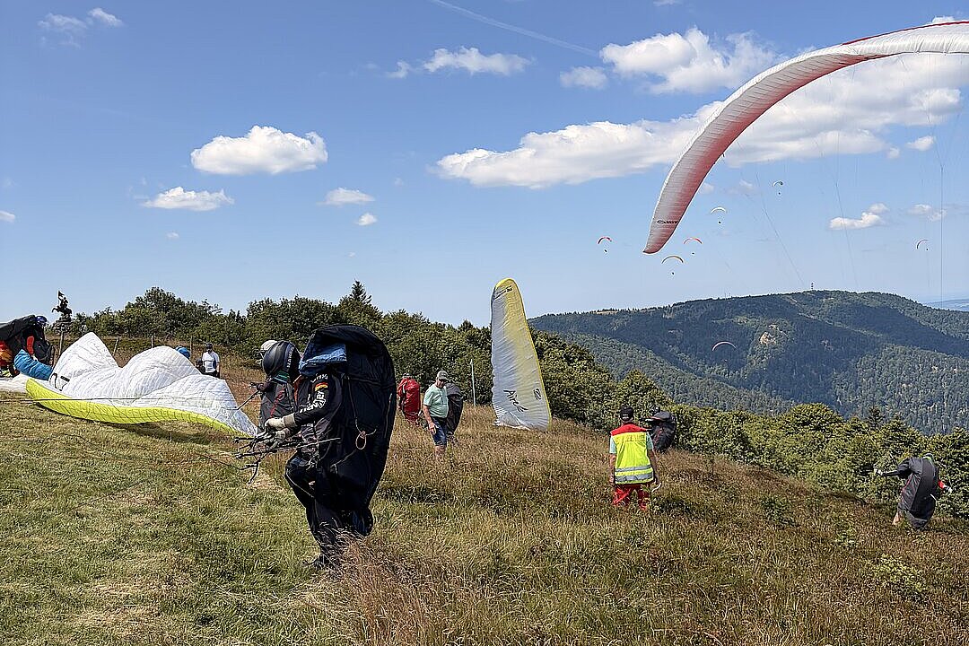 Gleitschirmflieger bereiten ihre Schirme auf einer Bergwiese vor, mehrere Schirme schweben am Himmel.