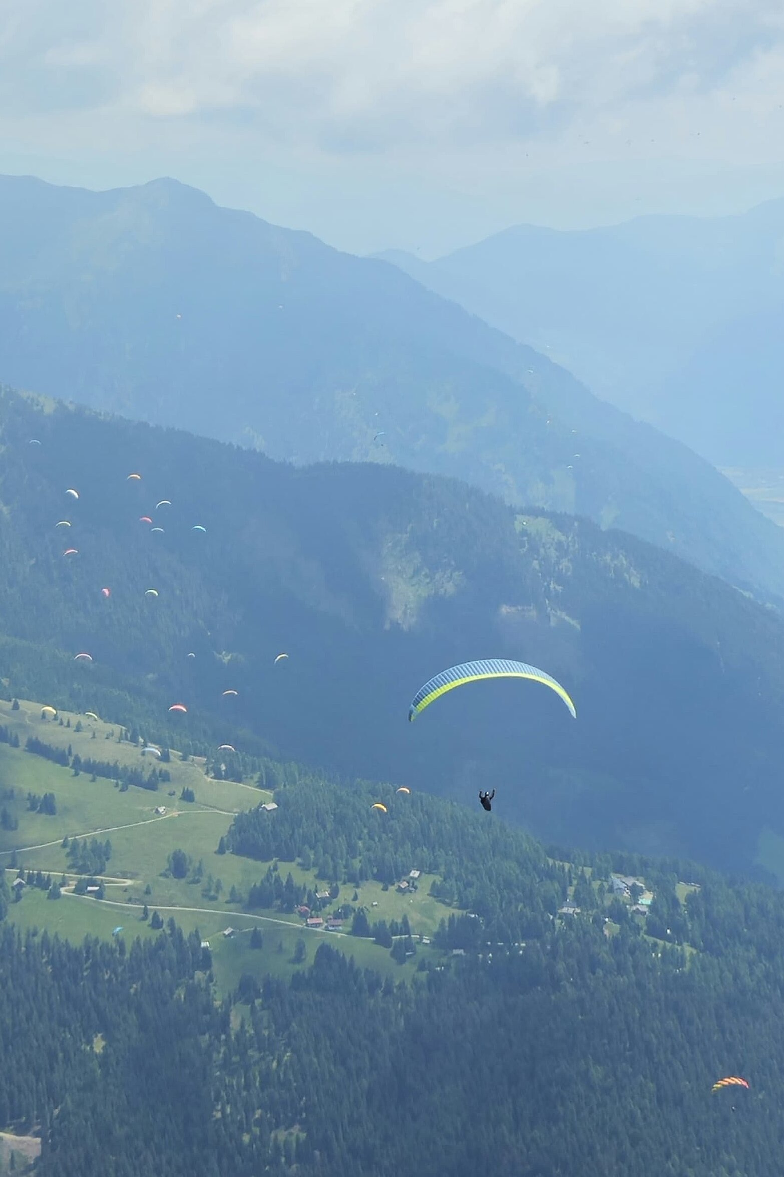 Mehrere Gleitschirme fliegen über einem weiten Tal mit Bergen und Wäldern.