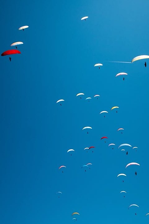 Viele Gleitschirme vor blauem Himmel, ein gelber Schirm fliegt allein oben links.