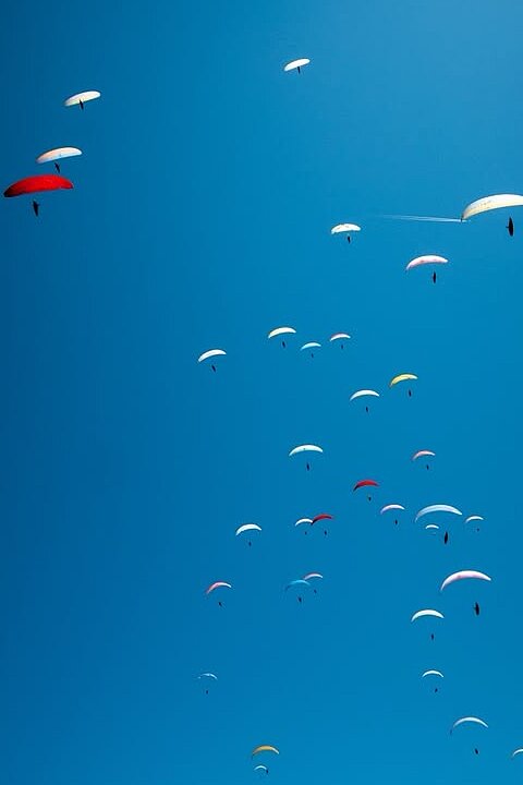 Viele Gleitschirme vor blauem Himmel, ein gelber Schirm fliegt allein oben links.