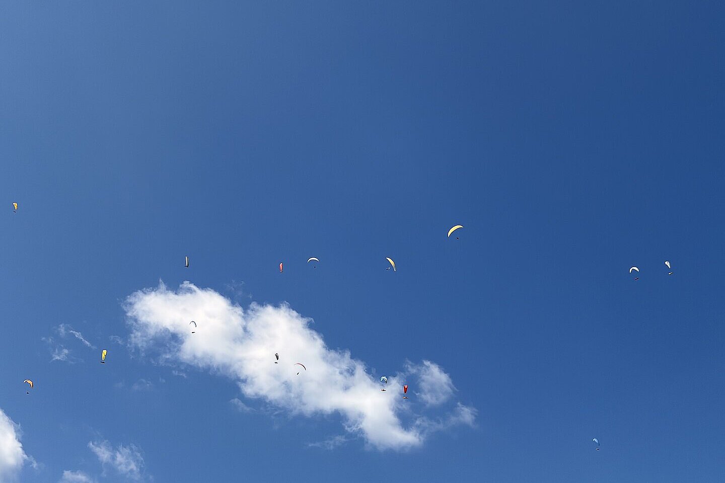 Mehrere Gleitschirme fliegen hoch am blauen Himmel über einer weißen Wolke.