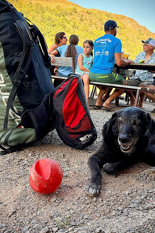 Menschen sitzen an Picknicktischen am Startplatz, im Vordergrund liegt ein Hund neben Rucksäcken.