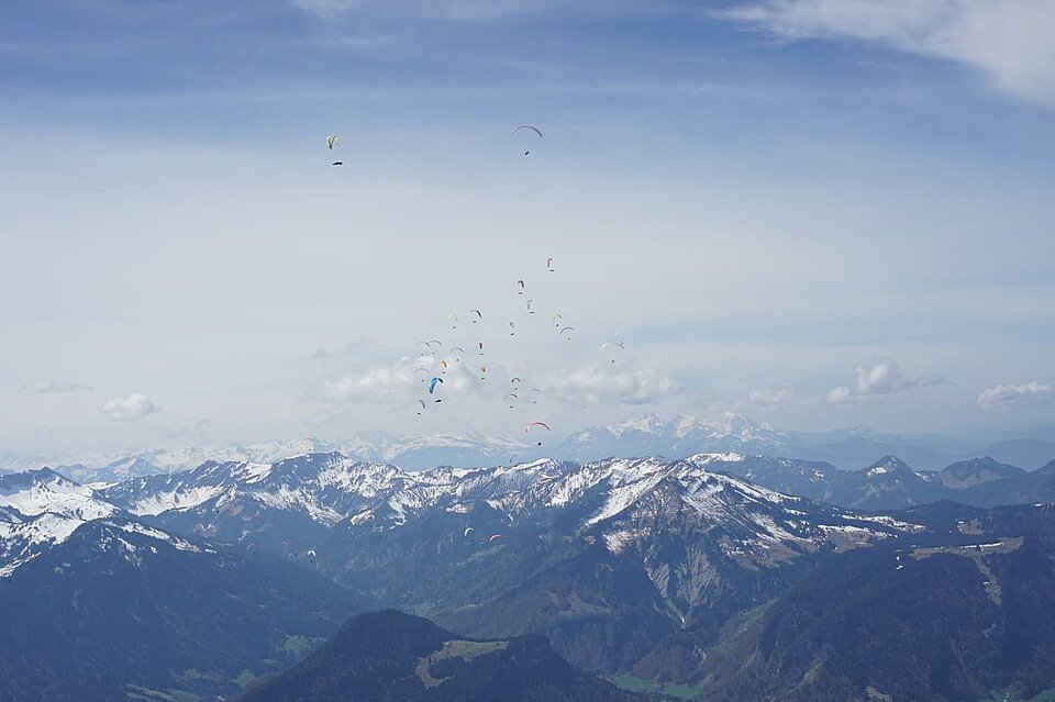 Staufen Cup Task 2