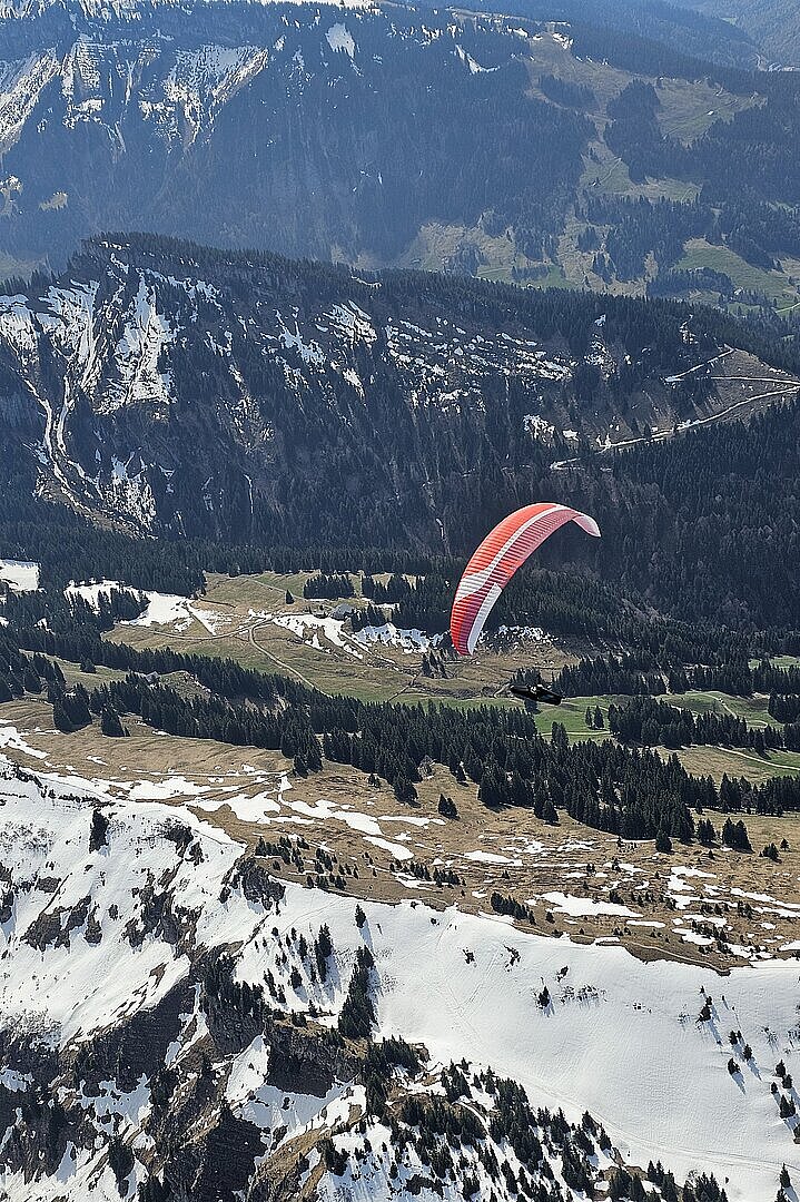 Staufen Cup Task 3