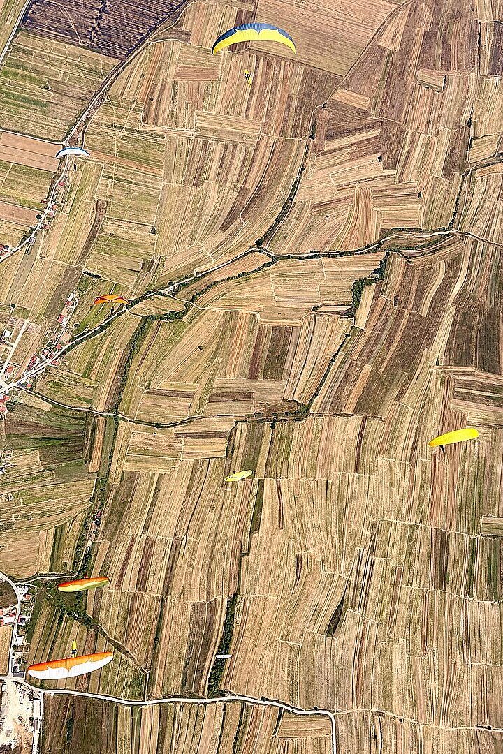 Mehrere Gleitschirme fliegen über ein Mosaik aus Feldern, Straßen und kleinen Häusern.
