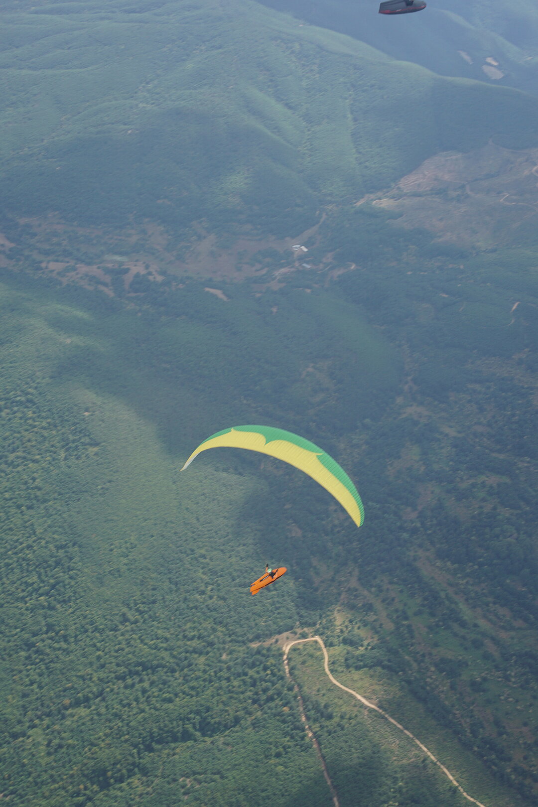 Ein Gleitschirm mit Pilot fliegt über bewaldete Hänge.