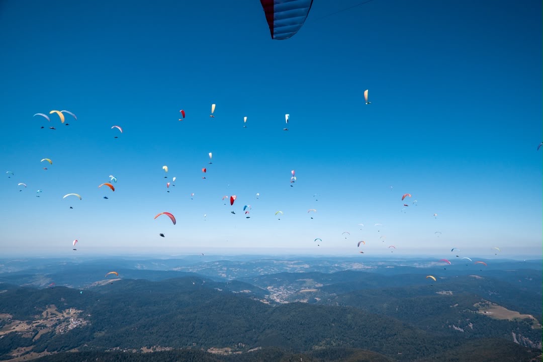 Viele Gleitschirme fliegen über eine weitläufige Hügellandschaft.