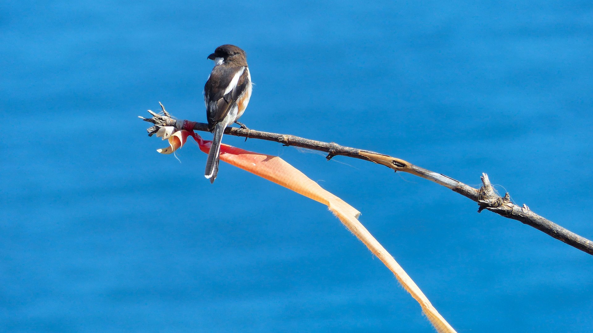 Take off and landing sites